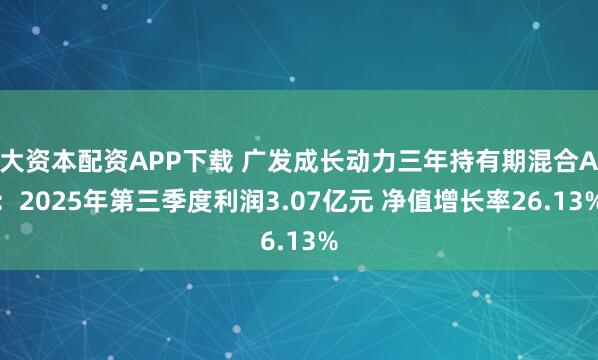 大资本配资APP下载 广发成长动力三年持有期混合A:2025年第三季度利润3.07亿元 净值增长率26.13%