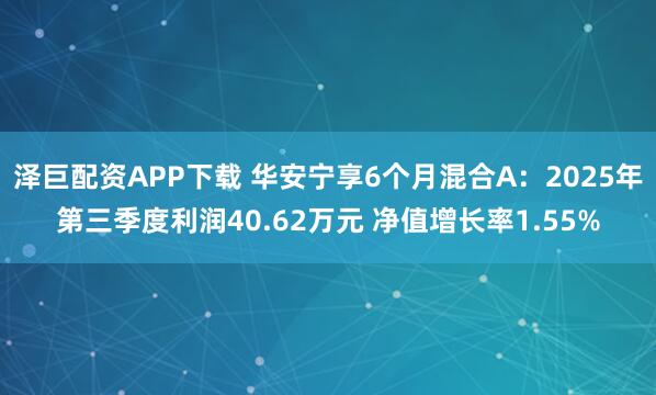 泽巨配资APP下载 华安宁享6个月混合A:2025年第三季度利润40.62万元 净值增长率1.55%