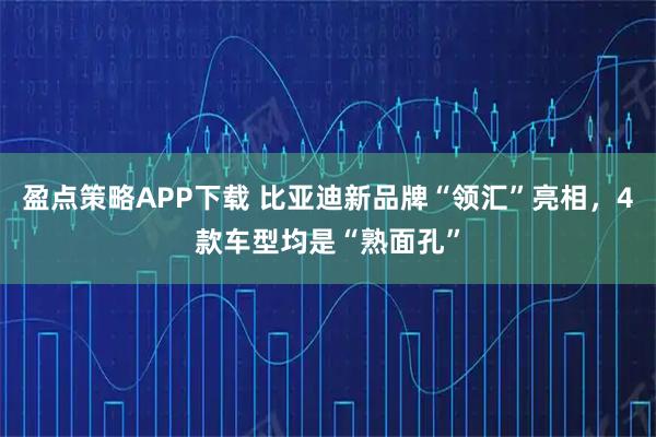 盈点策略APP下载 比亚迪新品牌“领汇”亮相，4款车型均是“熟面孔”