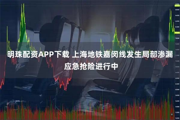 明珠配资APP下载 上海地铁嘉闵线发生局部渗漏 应急抢险进行中