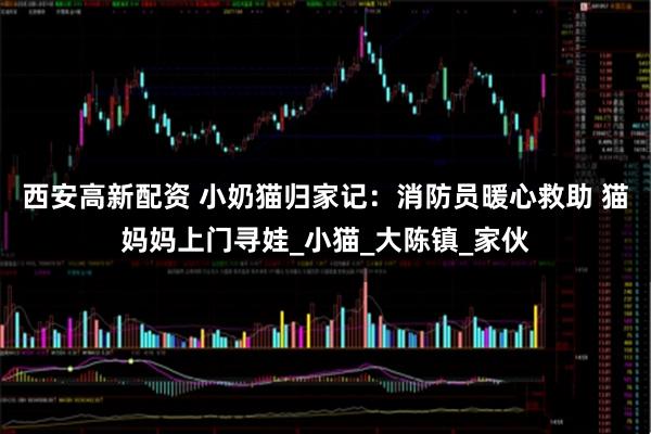 西安高新配资 小奶猫归家记：消防员暖心救助 猫妈妈上门寻娃_小猫_大陈镇_家伙