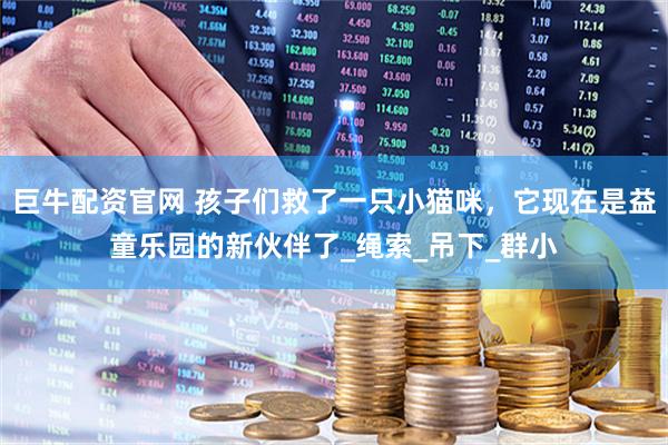 巨牛配资官网 孩子们救了一只小猫咪，它现在是益童乐园的新伙伴了_绳索_吊下_群小