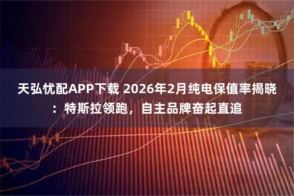 天弘忧配APP下载 2026年2月纯电保值率揭晓：特斯拉领跑，自主品牌奋起直追