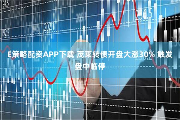 E策略配资APP下载 茂莱转债开盘大涨30% 触发盘中临停